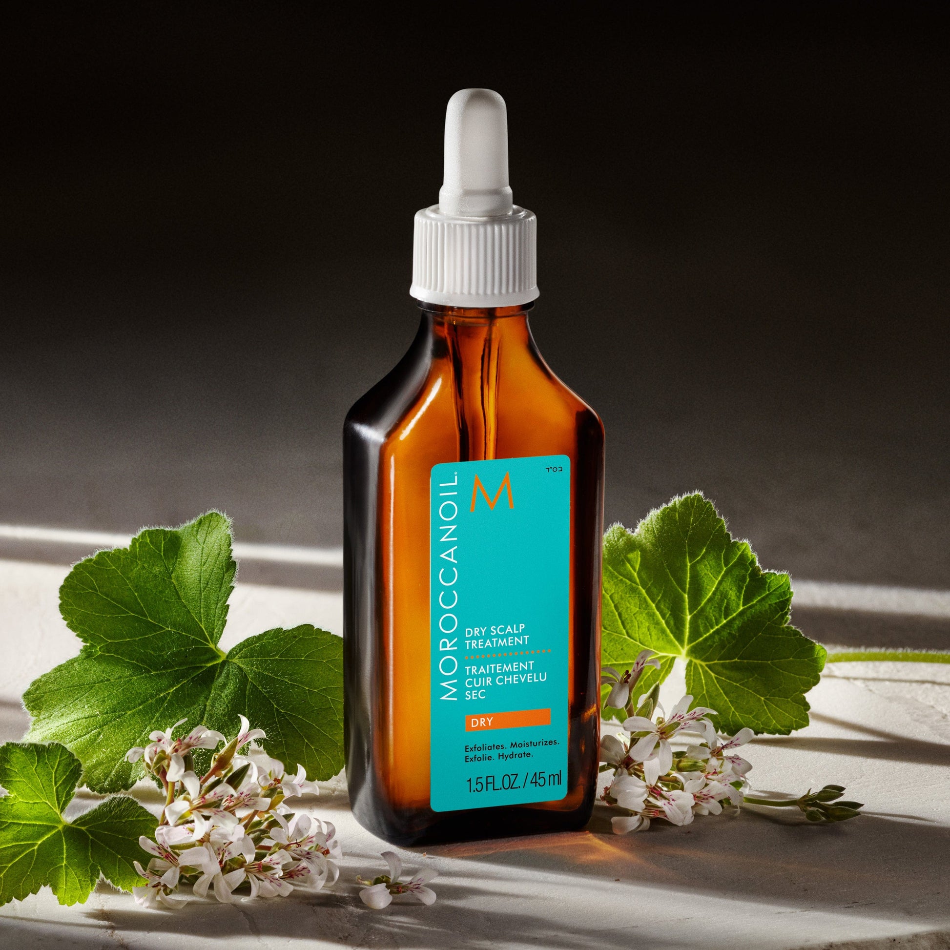 Moroccanoil Behandlung für trockene Kopfhaut 45ml - Friseurmeister