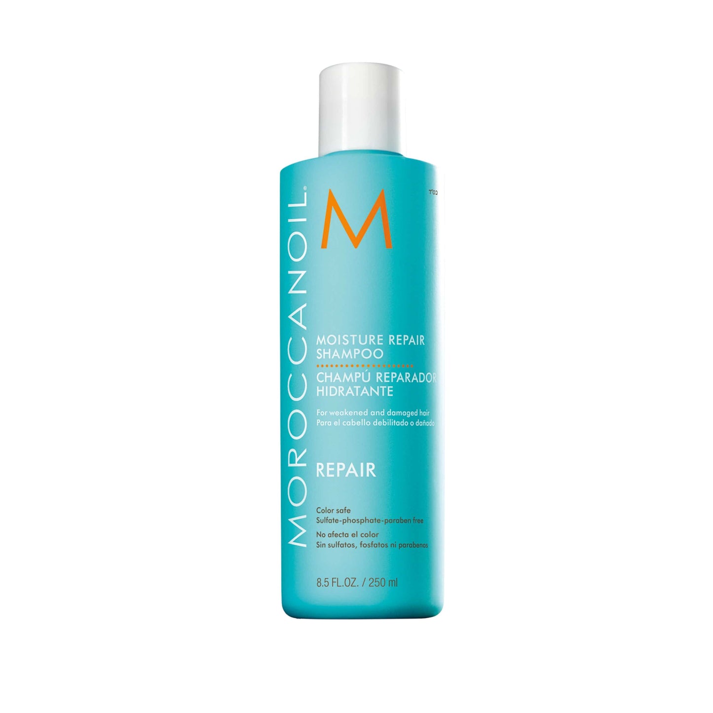 Moroccanoil Regenerierendes Shampoo - Friseurmeister